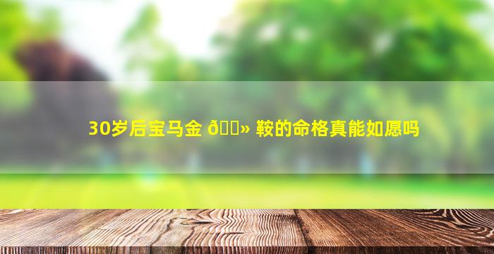 30岁后宝马金 🌻 鞍的命格真能如愿吗